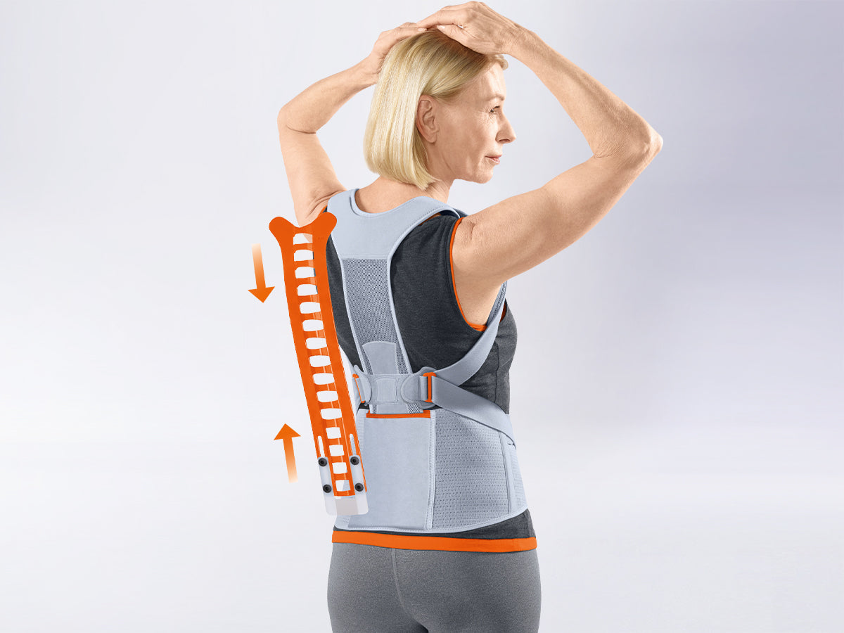 Corset dynamique Vertebradyn Osteo indiqué notamment pour l'ostéoporose