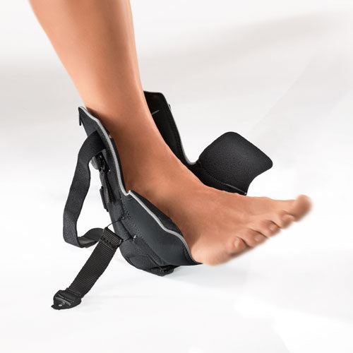 MalleoXpress Active-2