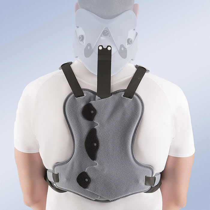 Thoracic extension for Minervo neck brace