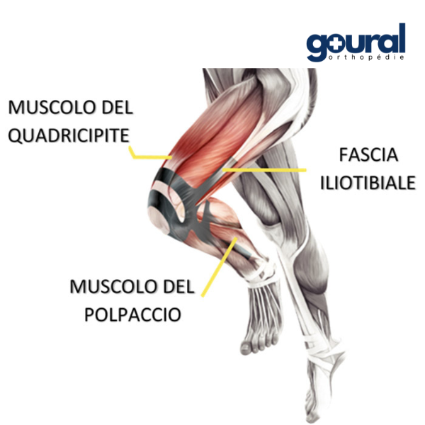 Genouillère de maintien proprioceptive Taping