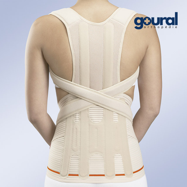 Module adaptable dorsolombaire pour ceinture lombaire Evotec-dorso (sans ceinture)