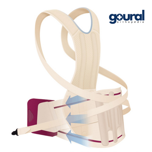 Module adaptable dorsolombaire pour ceinture lombaire Evotec-dorso (sans ceinture)