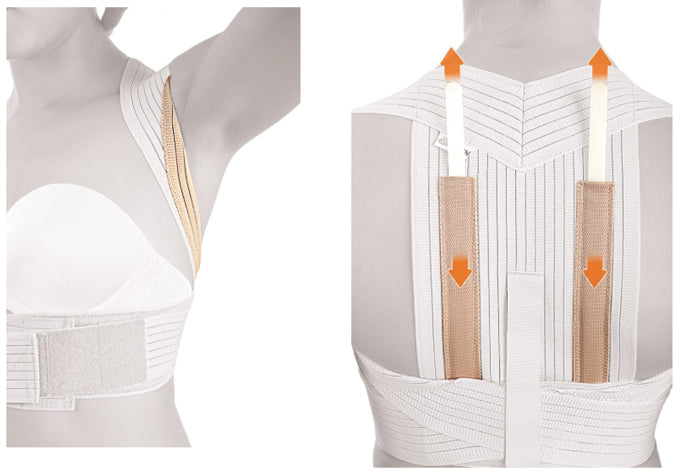 Redresse-dos à baleines amovibles